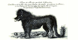 Illustration for article titled A Field Guide to Cryptids From Europe and Africa